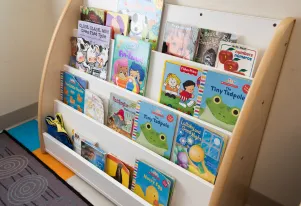 Bookshelf